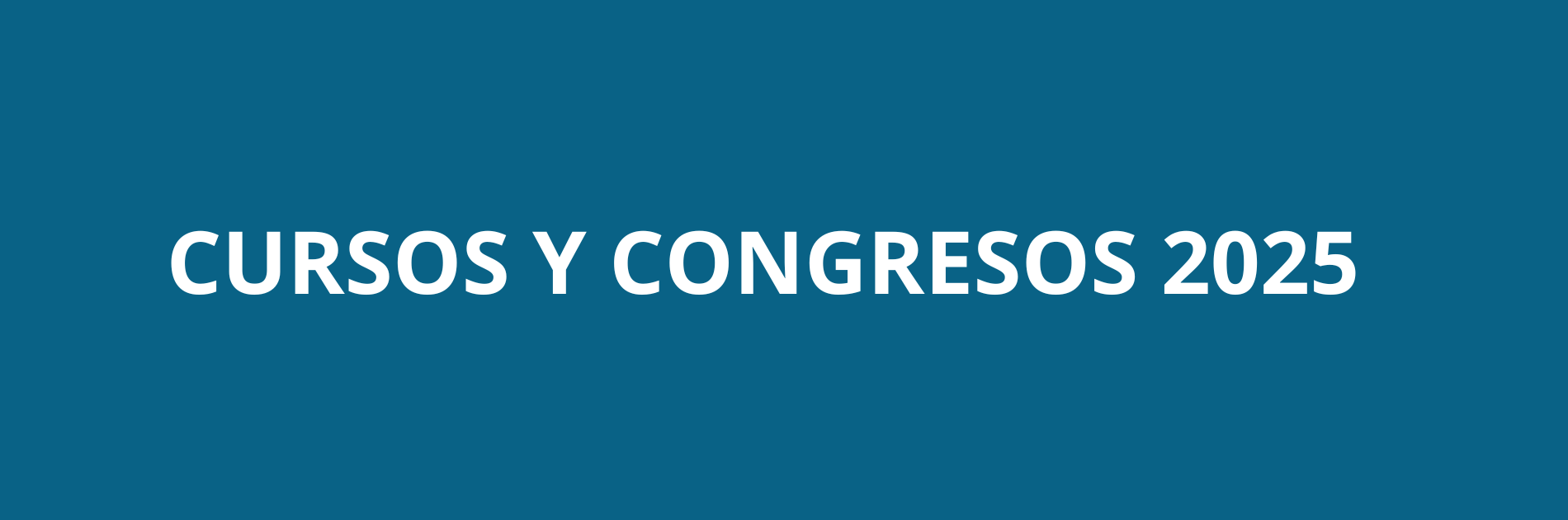 Cursos y congresos 2024